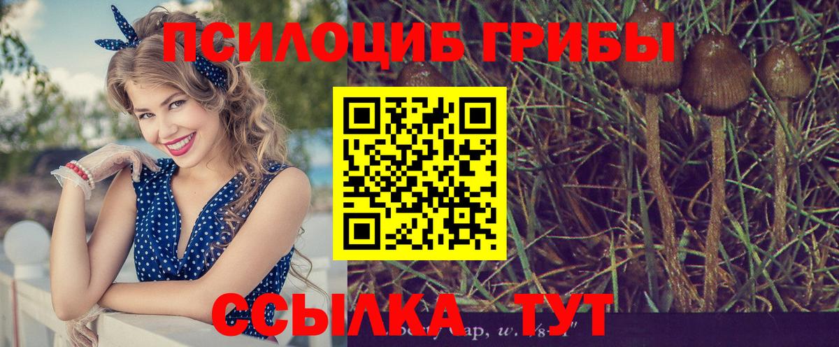 Галлюциногенные грибы GOLDEN TEACHER Сочи